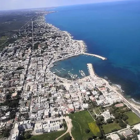 Flower's House Di Doris Simone *