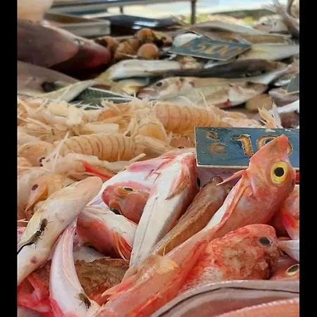 Flower's House Di Doris Simone Вилла