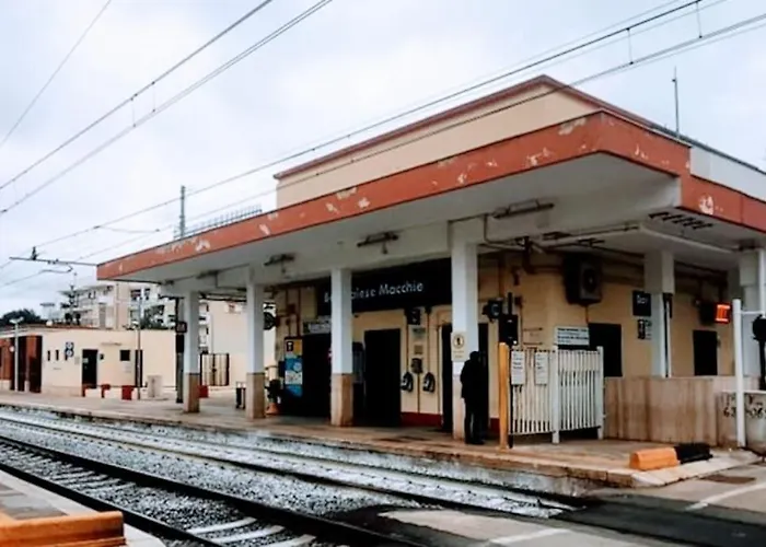 Flower's House Di Doris Simone Villa