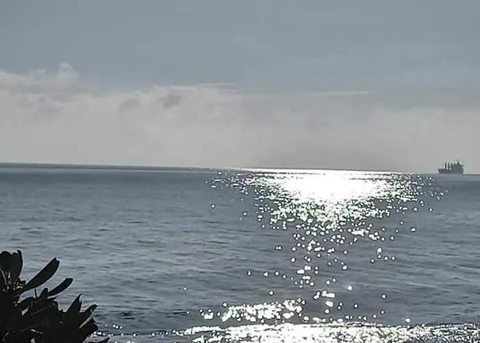 Villa Flower's House Di Doris Simone