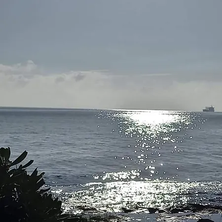 فيلة Flower's House Di Doris Simone