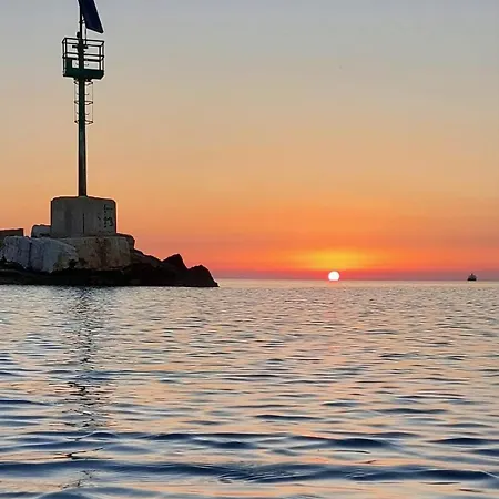 فيلة Flower's House Di Doris Simone