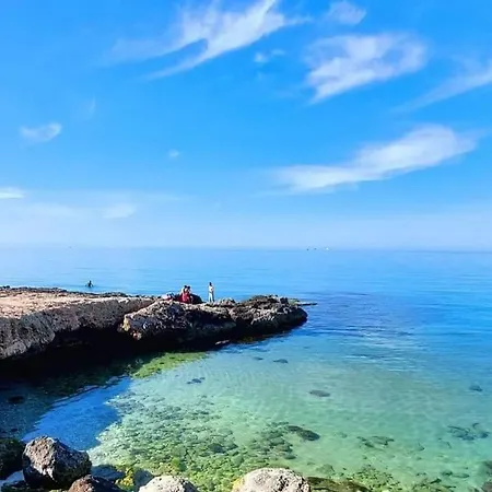 فيلة Flower's House Di Doris Simone باري