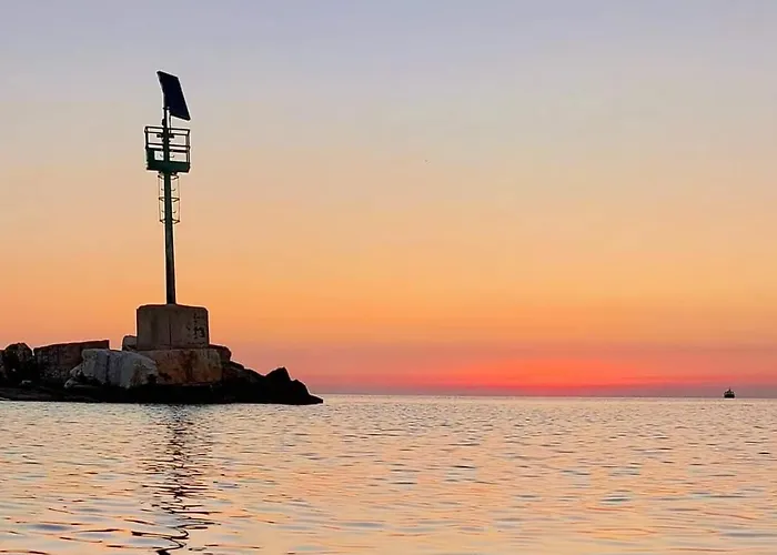 Flower's House Di Doris Simone *